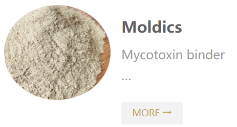 Moldics-mycotoxin binder.png